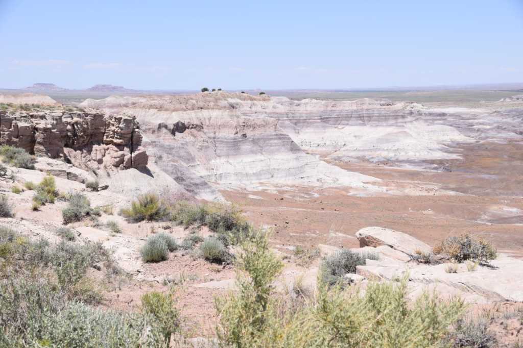 DSC_0089Mittel_.JPG